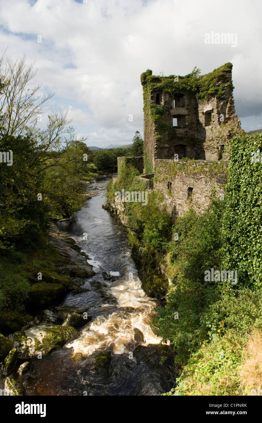 Repubblica di Irlanda, vecchio rudere sopra il fiume Foto Stock
