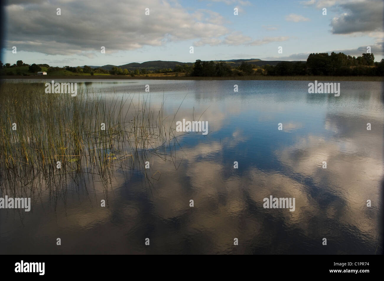 Irlanda del Nord, Fermanagh, Regione dei Laghi, inferiore del Lough Erne, riflessione di nuvole in acqua Foto Stock