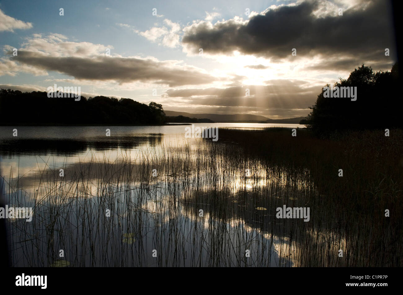 Irlanda del Nord, Fermanagh, Regione dei Laghi, Tramonto sulla parte inferiore del Lough Erne Foto Stock