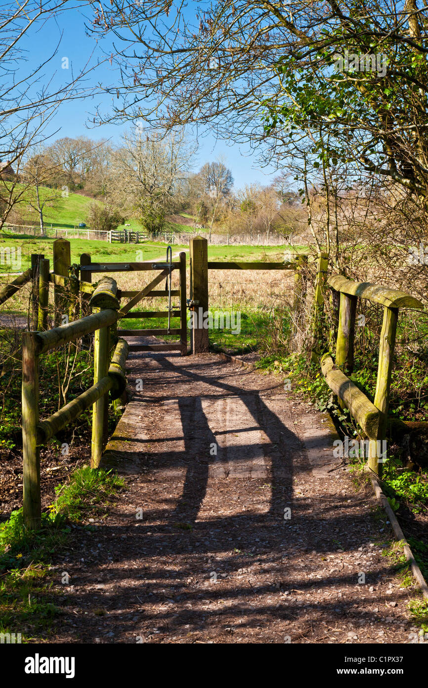 Smallbrook prati una riserva naturale vicino alla provinciale cittadina inglese di Warminster nel Wiltshire, Inghilterra, Regno Unito Foto Stock