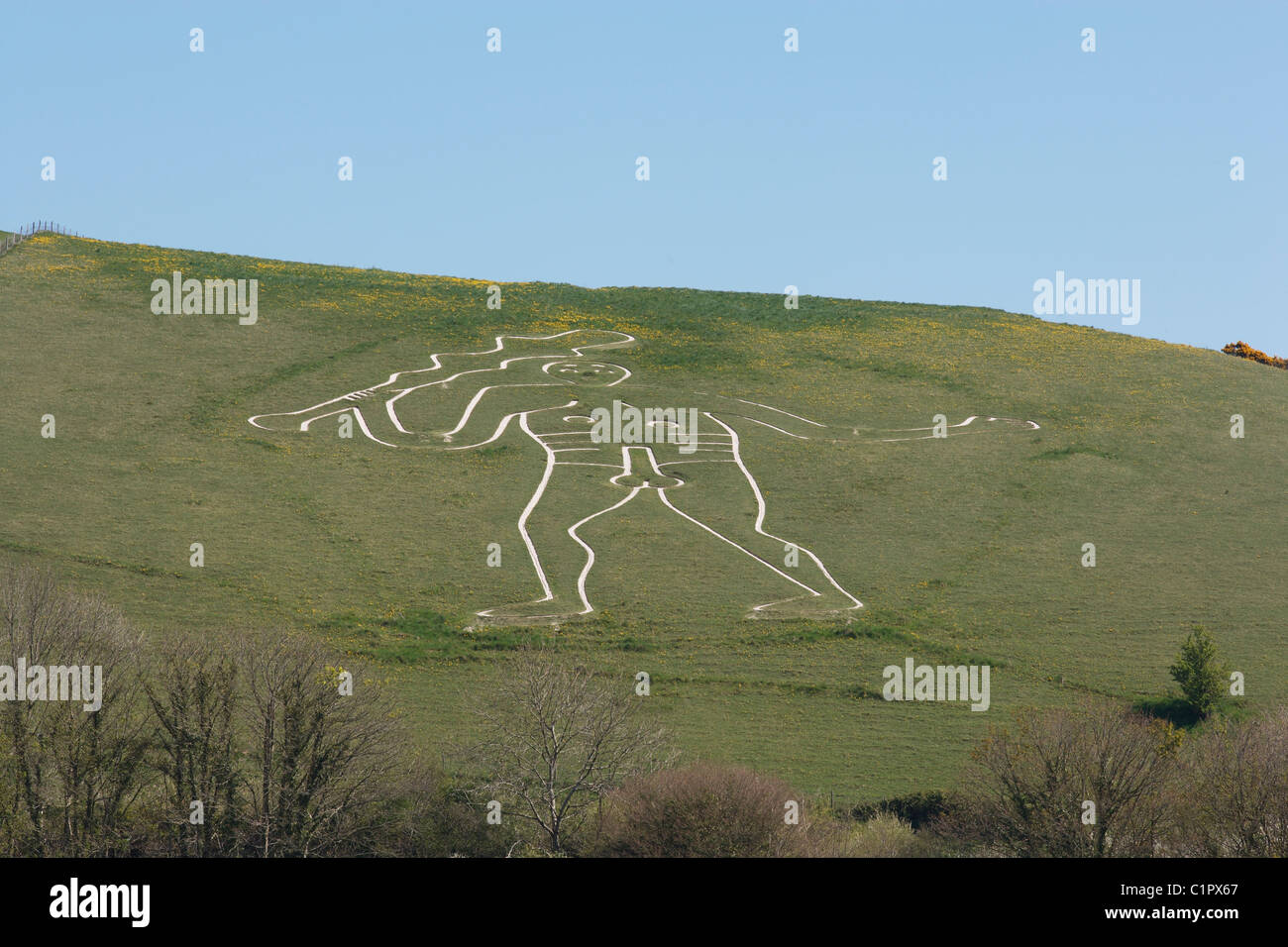 Cerne Abbas, Cerne Abbas Giant sulla ripida collina Foto Stock