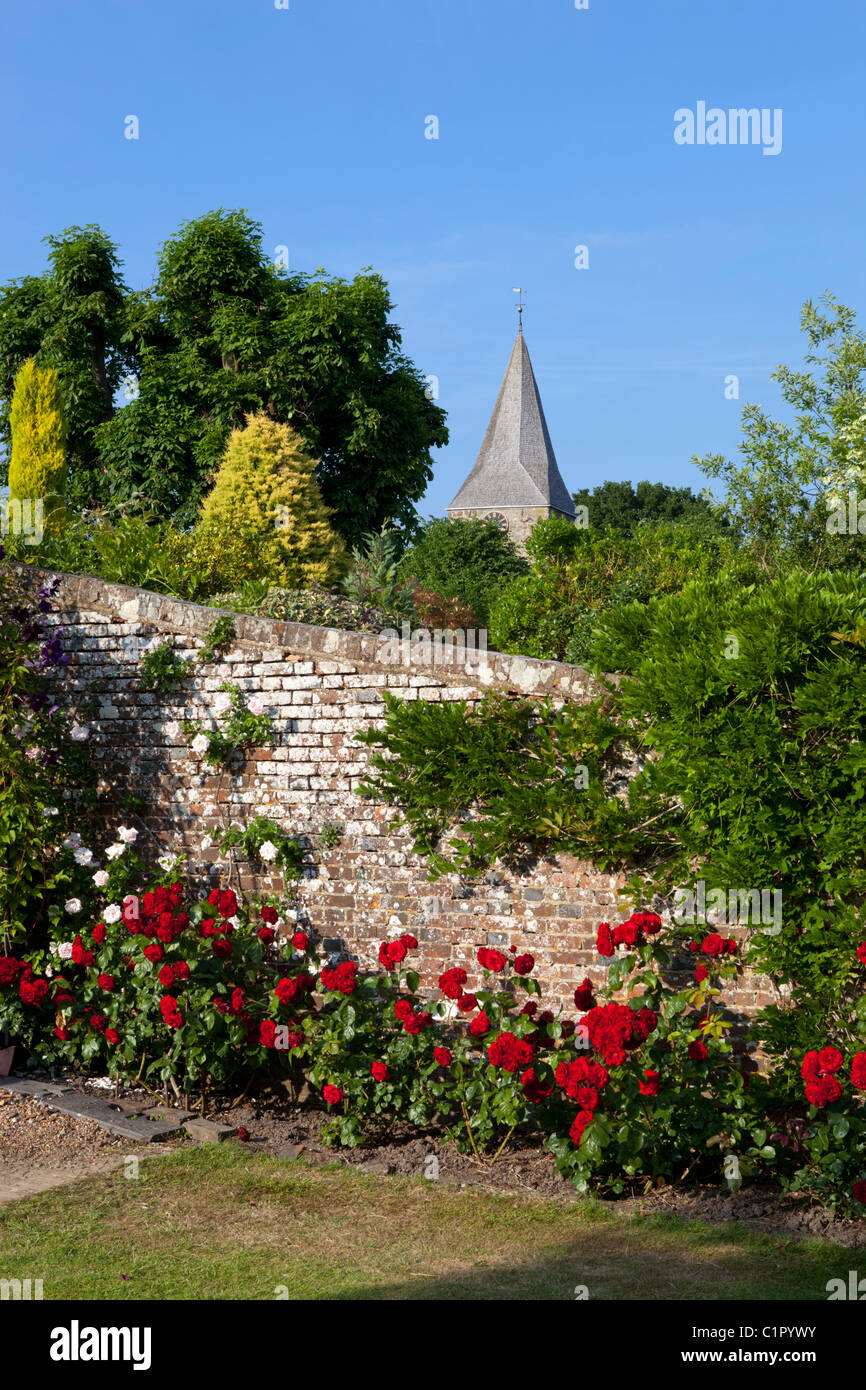 Giardino murato con rose Foto Stock