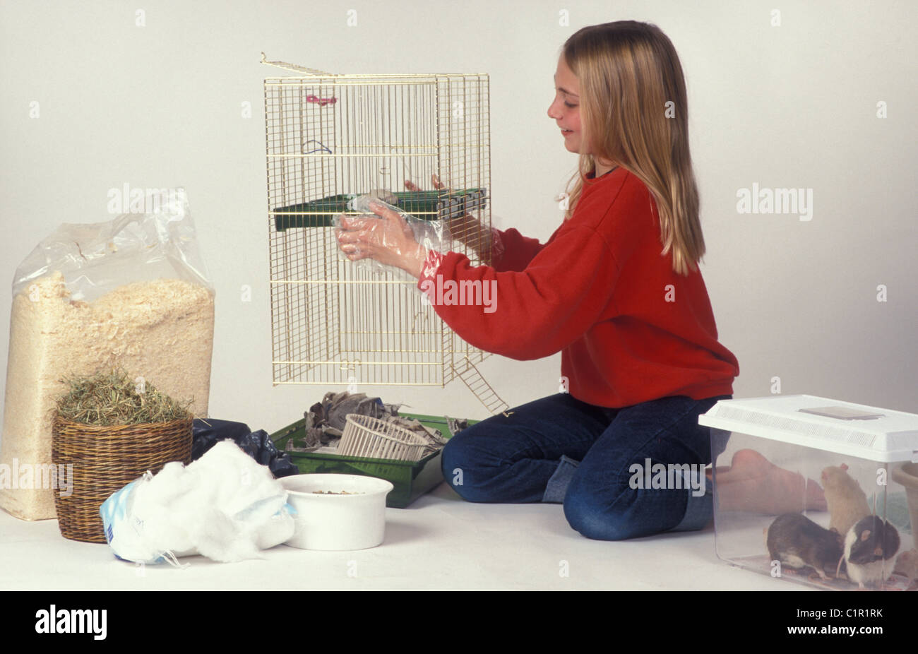 Ragazza giovane con la pulizia della gabbia di ratto Foto Stock