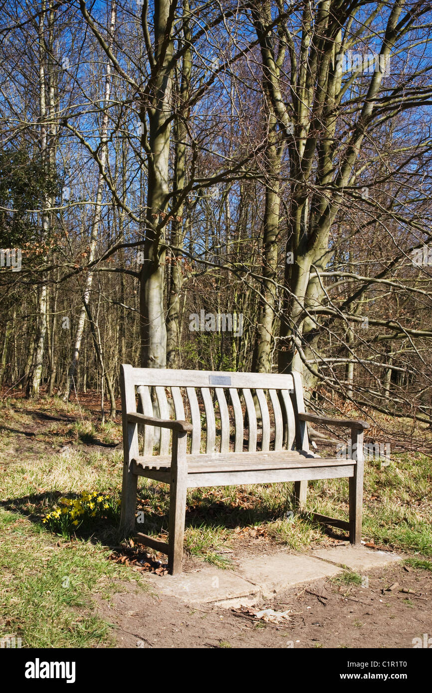 Un sedile unico in Wandlebury Country Park vicino a Cambridge in primavera. Foto Stock