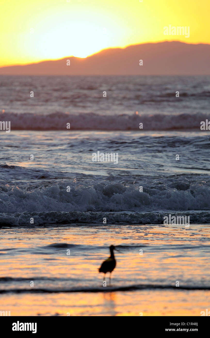 spiaggia al tramonto Foto Stock