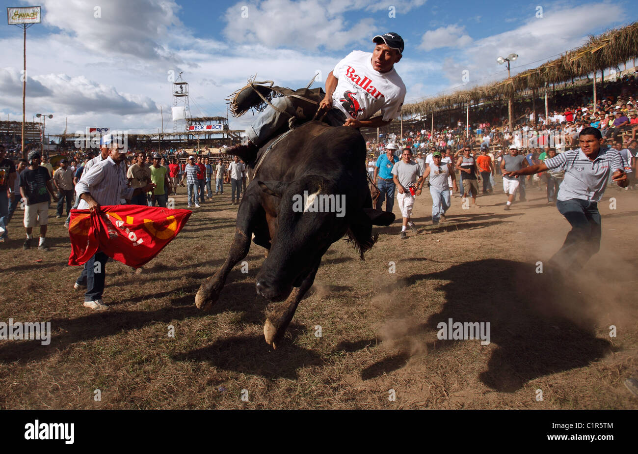 Bull riding durante un festival civico, Liberia, Costa Rica Foto Stock