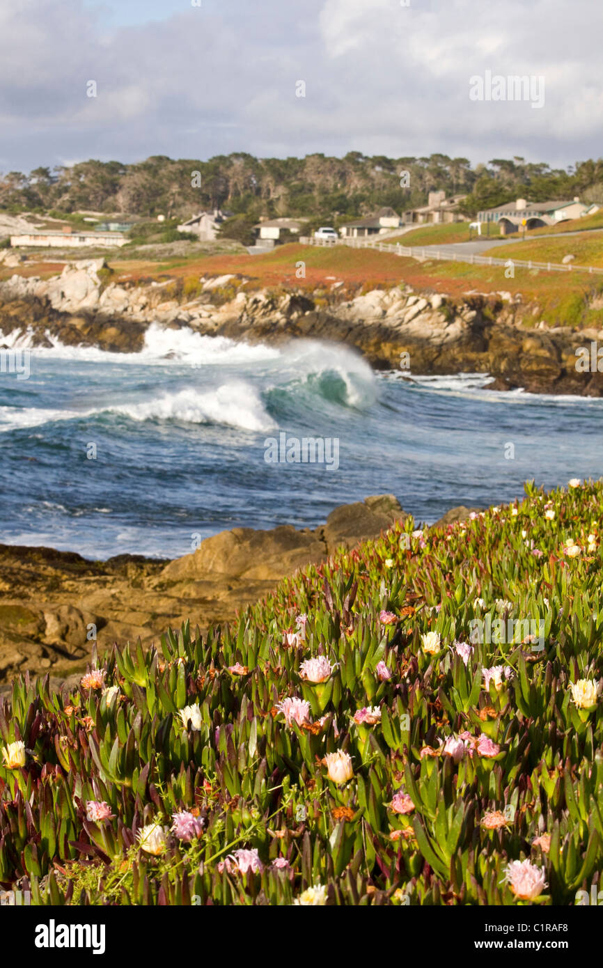 Impianti di ghiaccio e di onde che si infrangono sulla riva lungo il 17 Mile Drive, baia di Monterey, California, Stati Uniti d'America Foto Stock