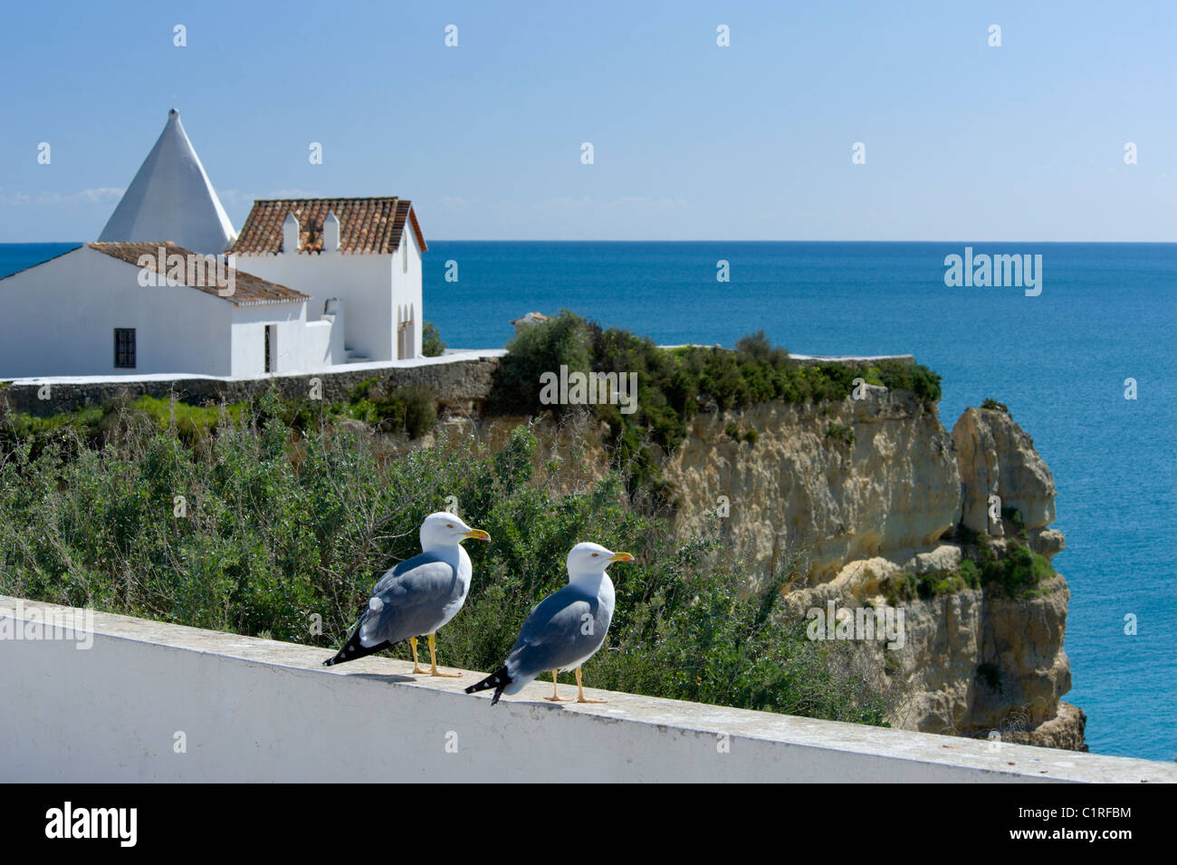 Il Portogallo, Algarve. Armacao de Pera, Nossa Senhora da Rocha cappella con i gabbiani Foto Stock