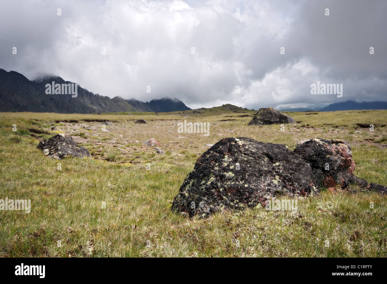 Highland pascolo (Prato) con pietre contro la nebbia di nuvole. Montagne del Caucaso. Kabardino-Balkaria. La Russia. Foto Stock