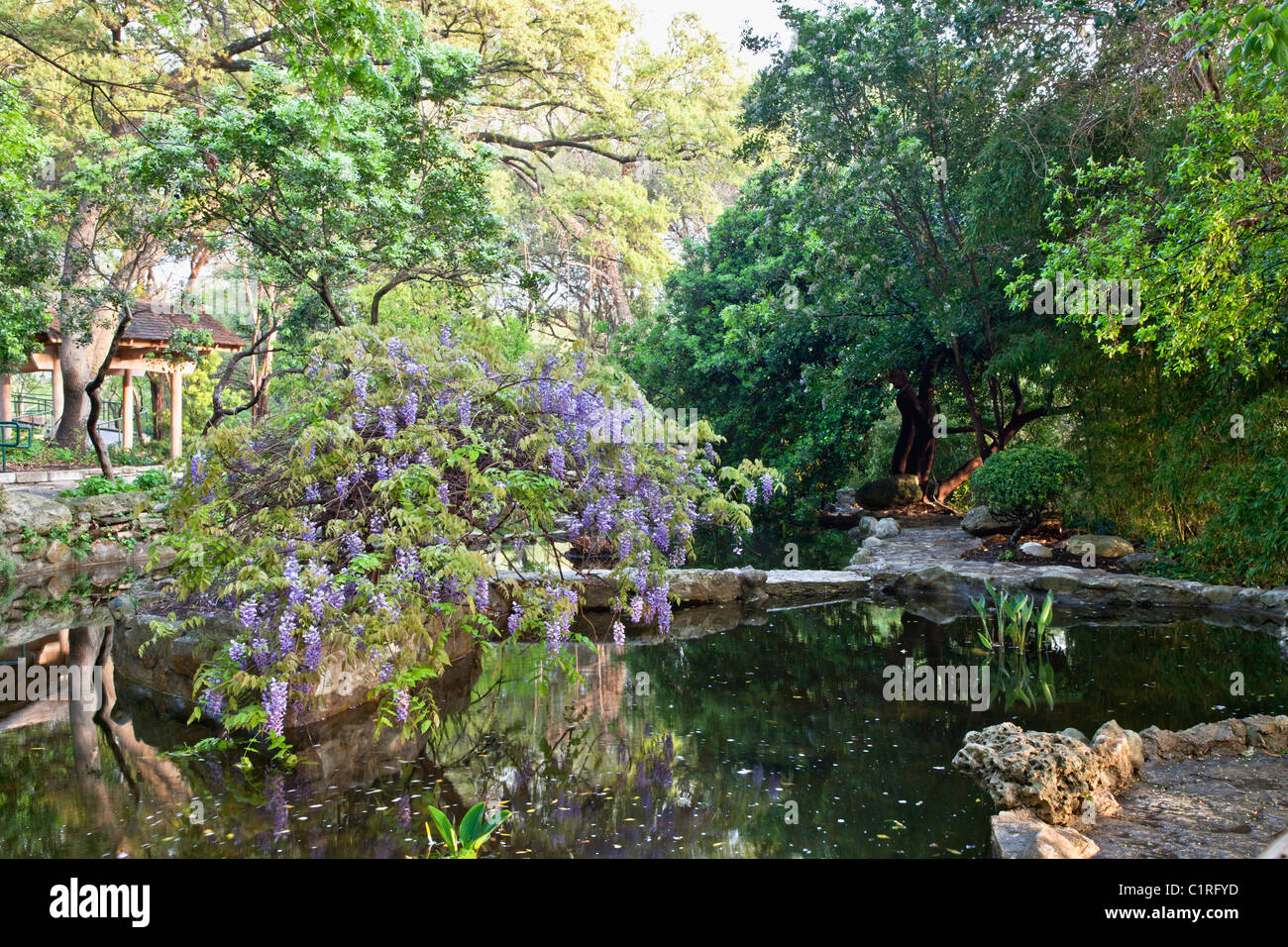 "Isamu Taniguchi' giardino giapponese. Foto Stock
