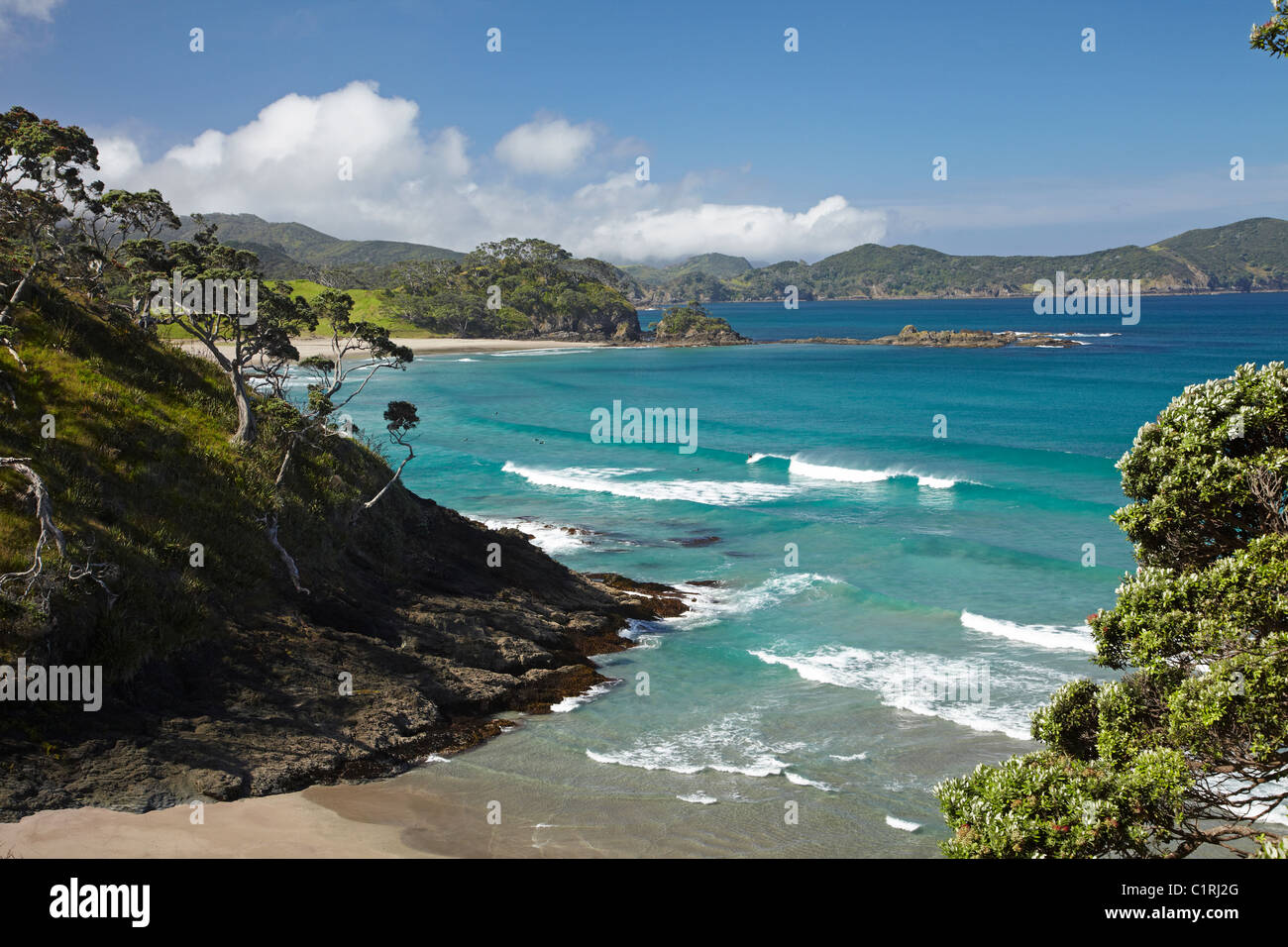 Elliot Bay, Northland e North Island, Nuova Zelanda Foto Stock