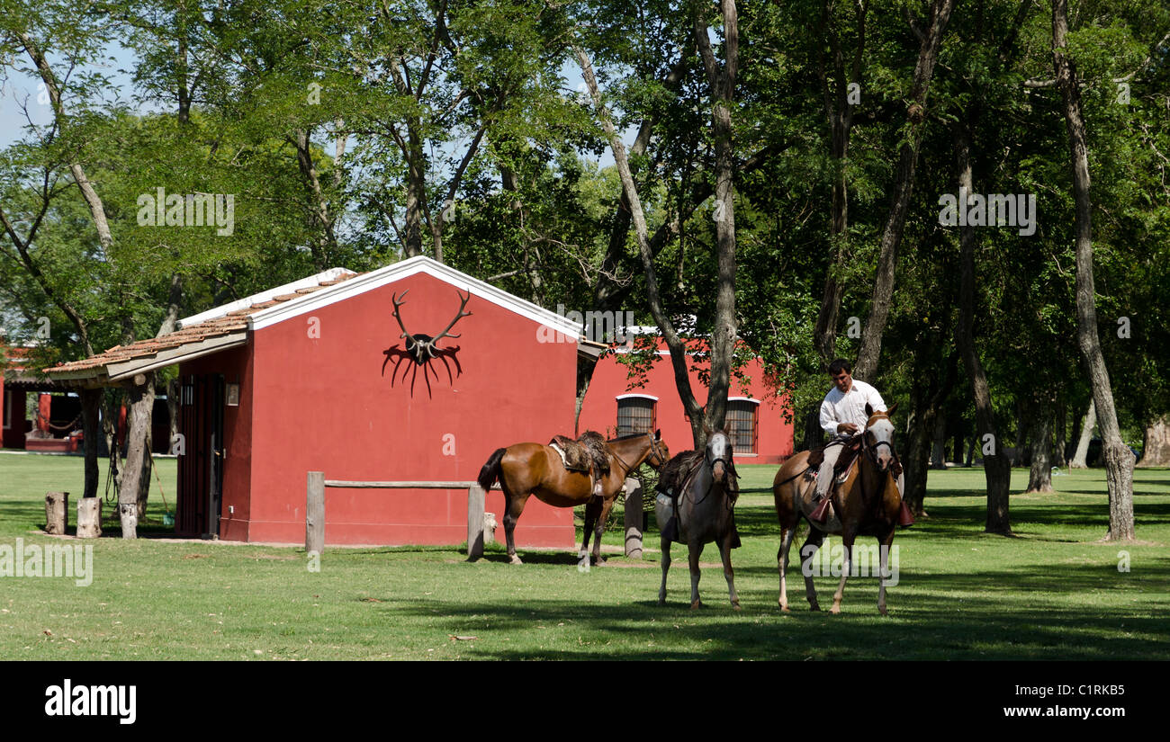 Gaucho presso La Bamba ranch vicino a San Antonio de Areco, Provincia di Buenos Aires, Argentina Foto Stock