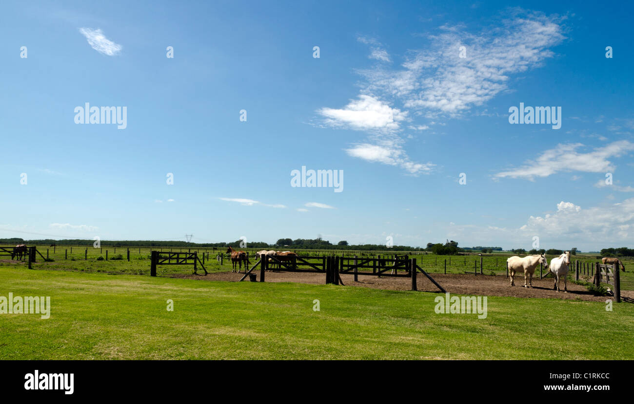 La Bamba ranch vicino a San Antonio de Areco, Provincia di Buenos Aires, Argentina Foto Stock