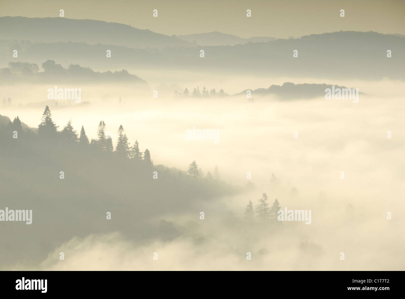 Misty Alberi e colline nel Lake District inglese. La vista dalla Loughrigg cadde sul Lago di Windermere Foto Stock