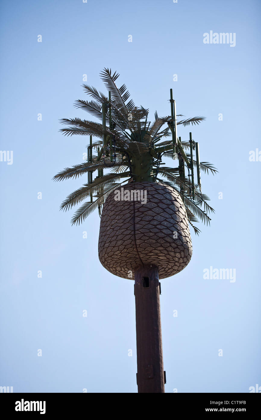 Telefono cellulare torre cellulare decorato come un Palm tree Henderson NV. Foto Stock