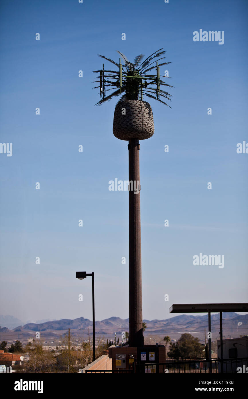 Telefono cellulare torre cellulare decorato come un Palm tree Henderson NV. Foto Stock