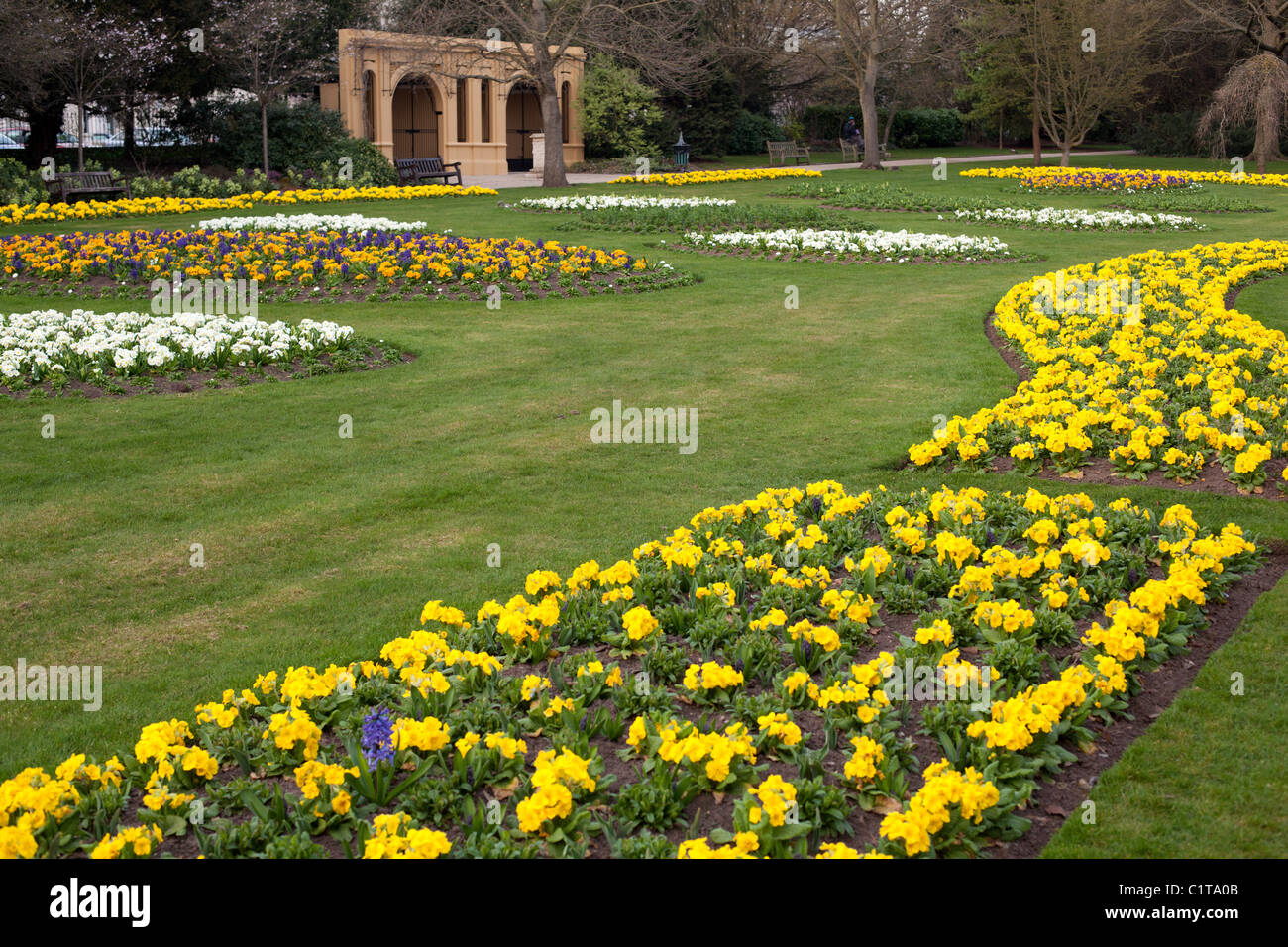 Composizioni floreali in marzo a Jephson Gardens, Leamington Spa, Inghilterra. Foto Stock