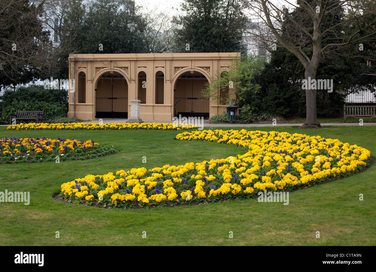 Composizioni floreali in marzo a Jephson Gardens, Leamington Spa, Inghilterra. Foto Stock