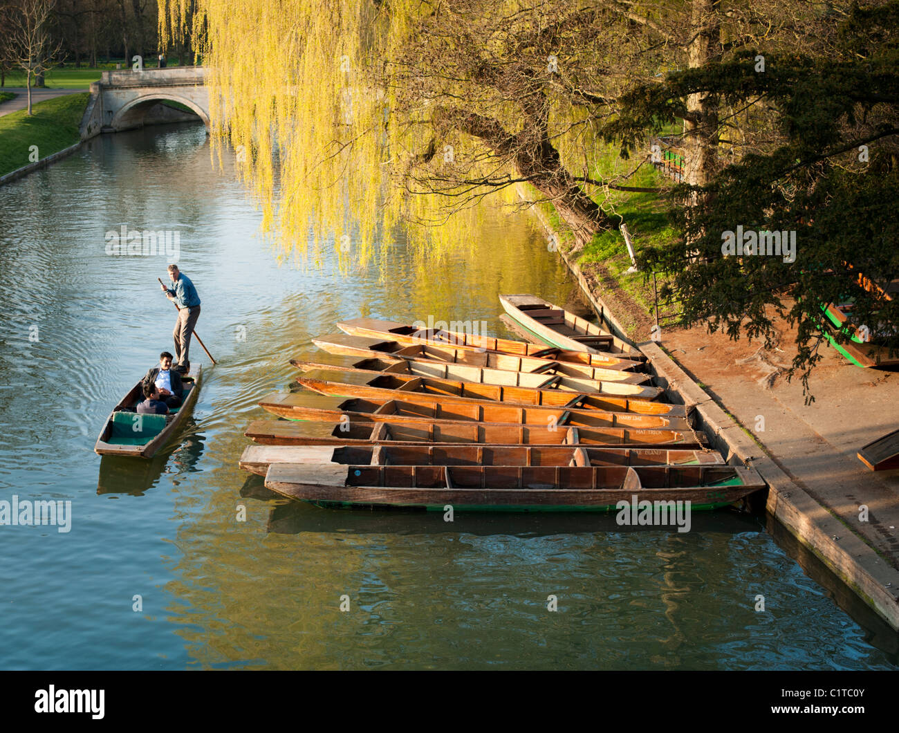 Sterline sul fiume Cam, Cambridge, Inghilterra, Regno Unito. Bella tardo pomeriggio di sole primaverile. Foto Stock