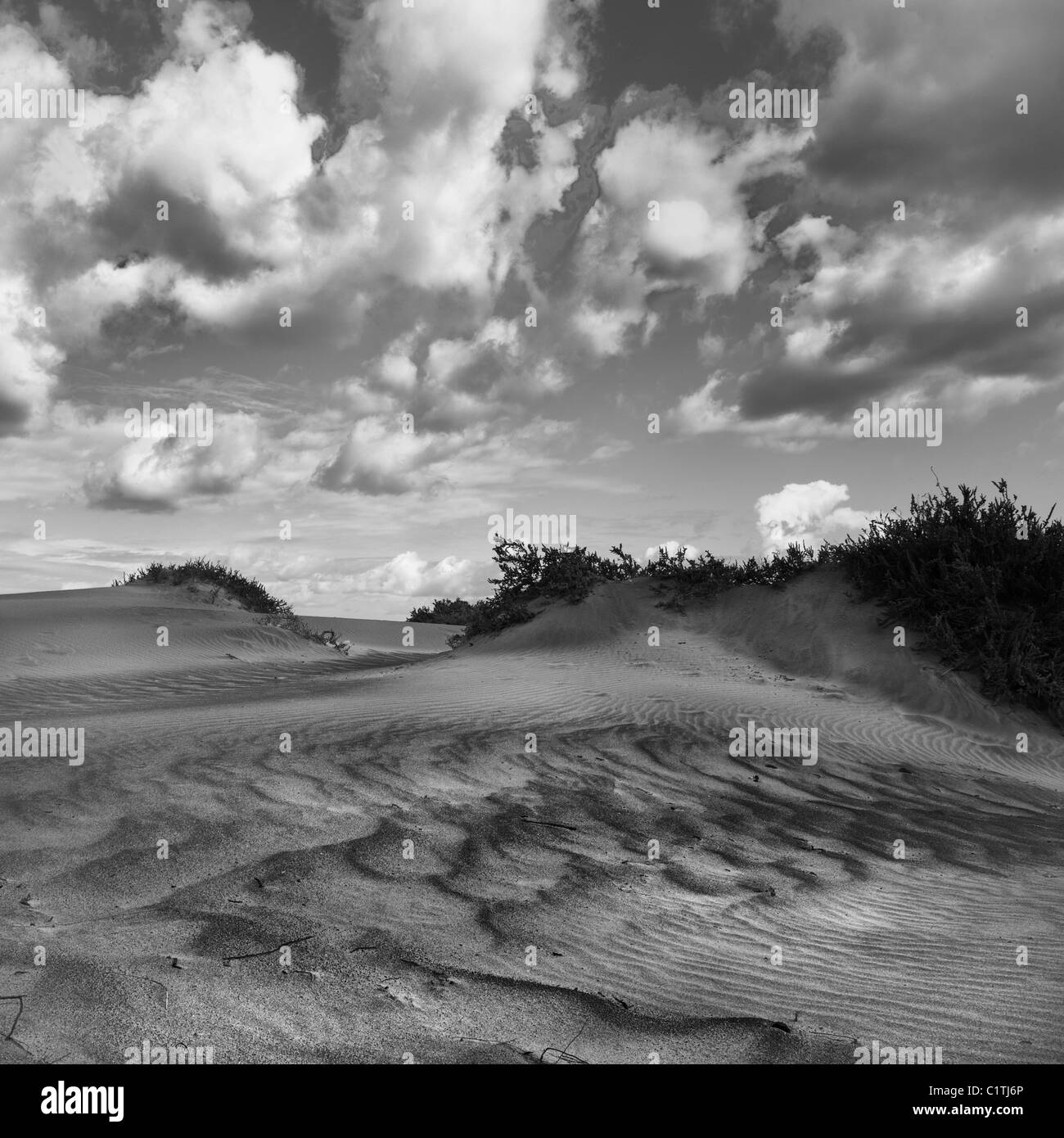 Le dune di sabbia di Lanzarote in classico in bianco e nero Foto Stock