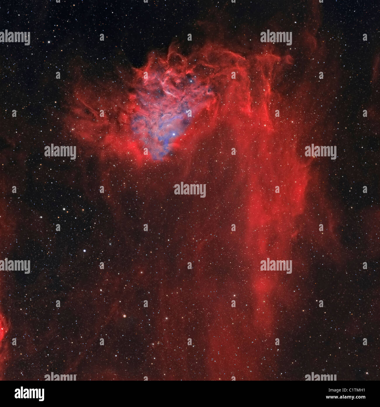 La stella fiammeggiante Nebula, noto anche come IC 405. Foto Stock