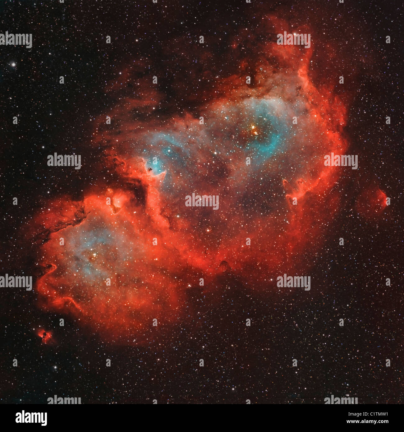 IC 1848, l'anima nebulosa. Foto Stock