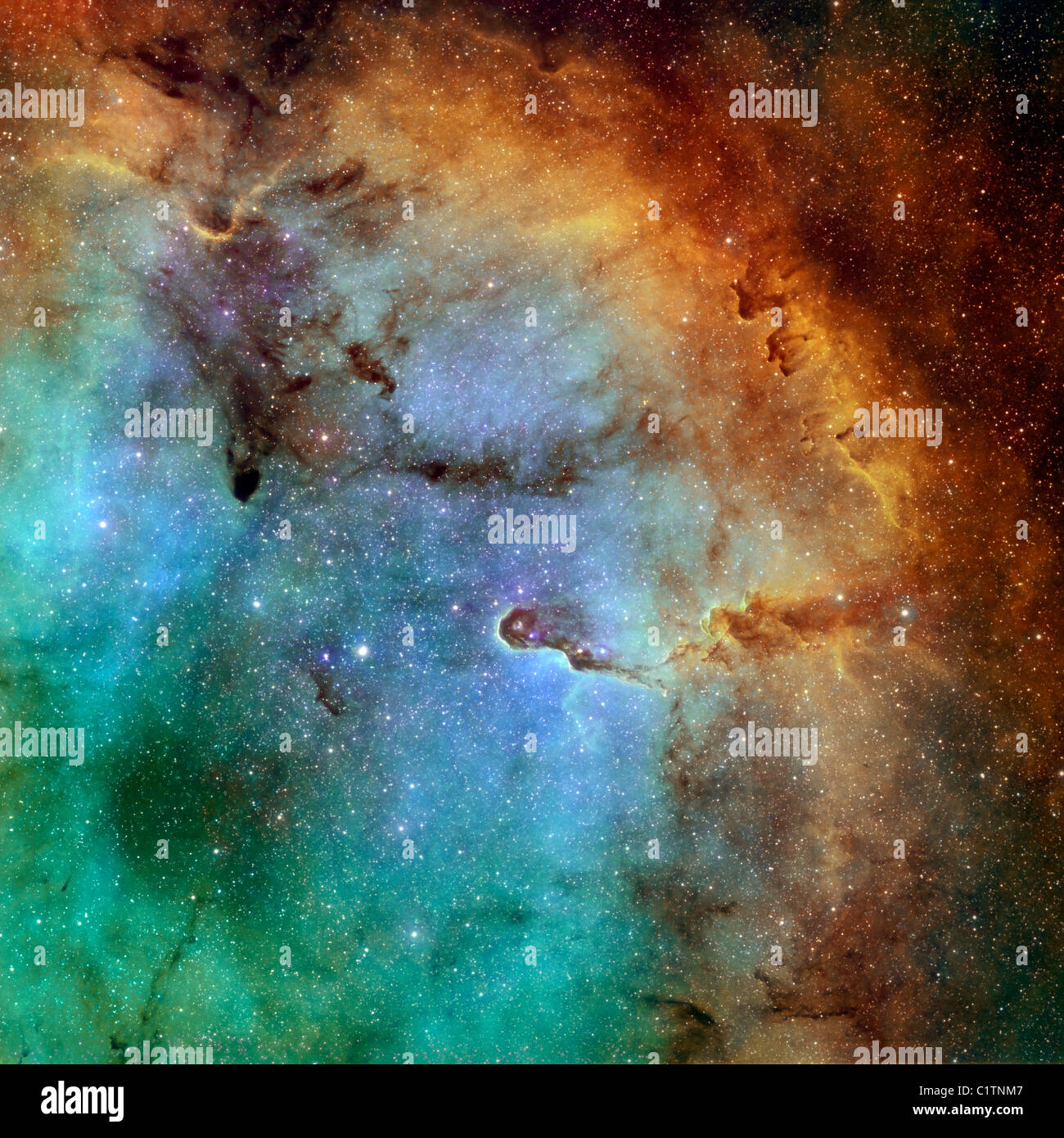 IC 1396, la Nebulosa Proboscide in Hubble-palette mappatura colori. Foto Stock