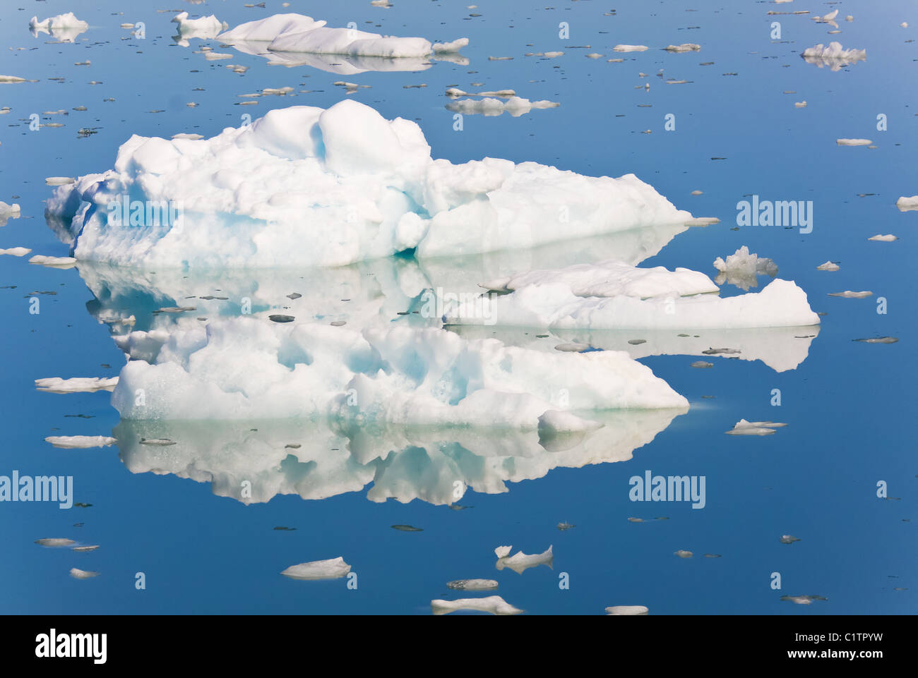 Ice floes nel sermilik-fjord Foto Stock