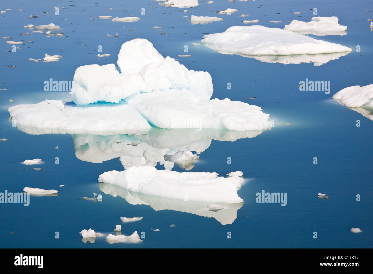 Ice floes nel sermilik-fjord Foto Stock