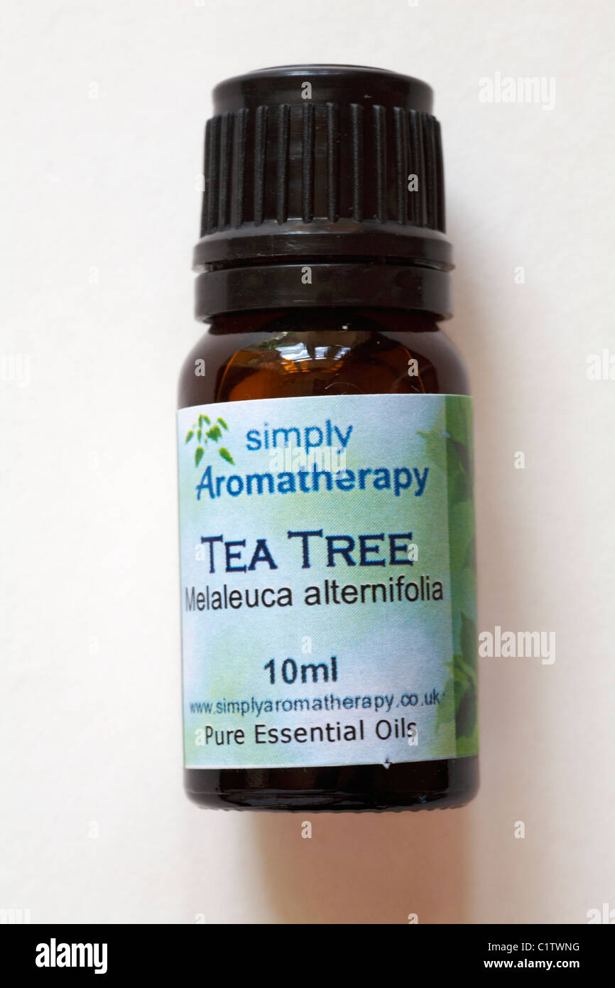 Bottiglia di aromaterapia semplicemente Tea Tree oli essenziali puri isolati su sfondo bianco Foto Stock