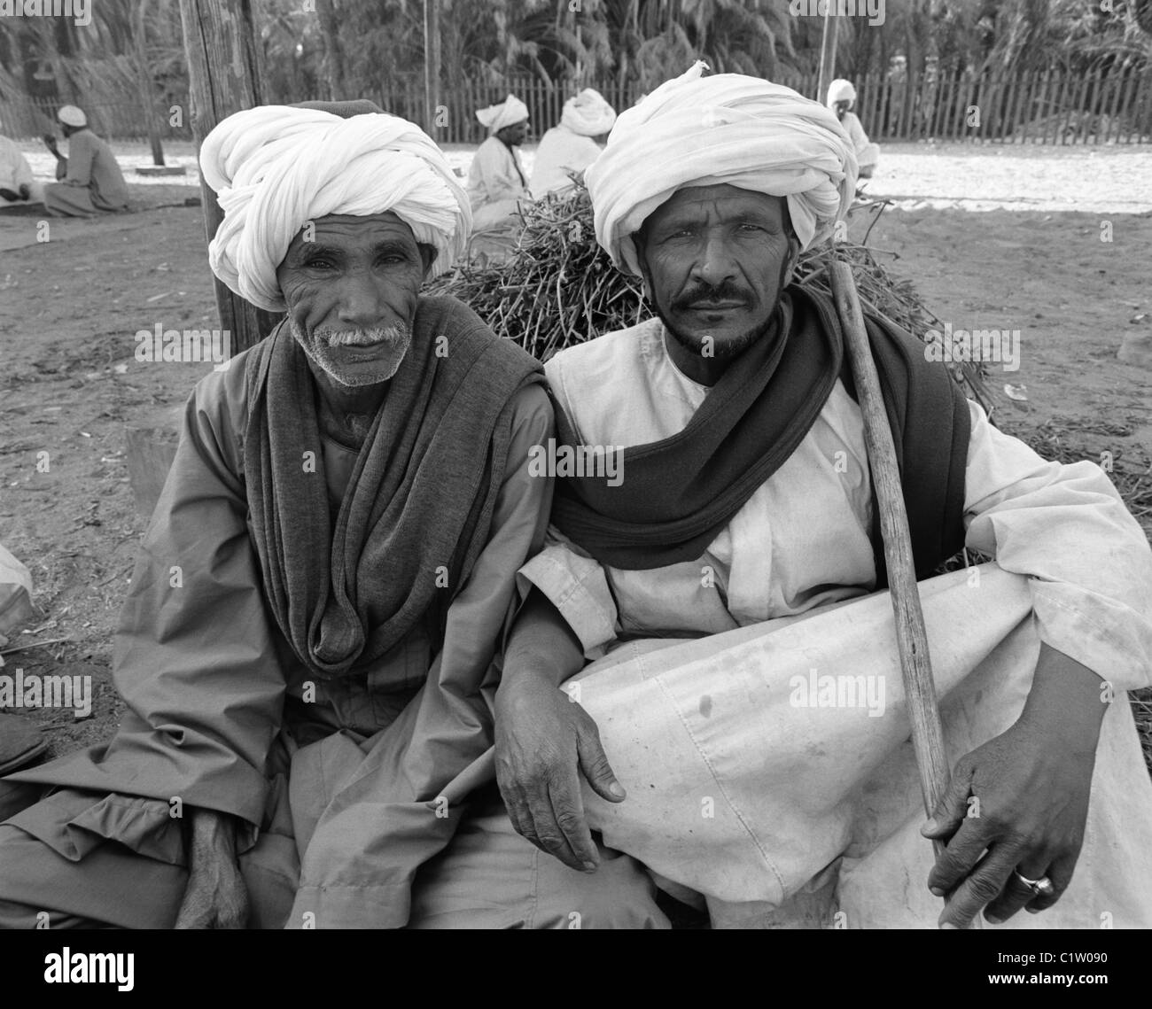 Mercato di cammelli, Daraw, Alto Egitto Foto Stock
