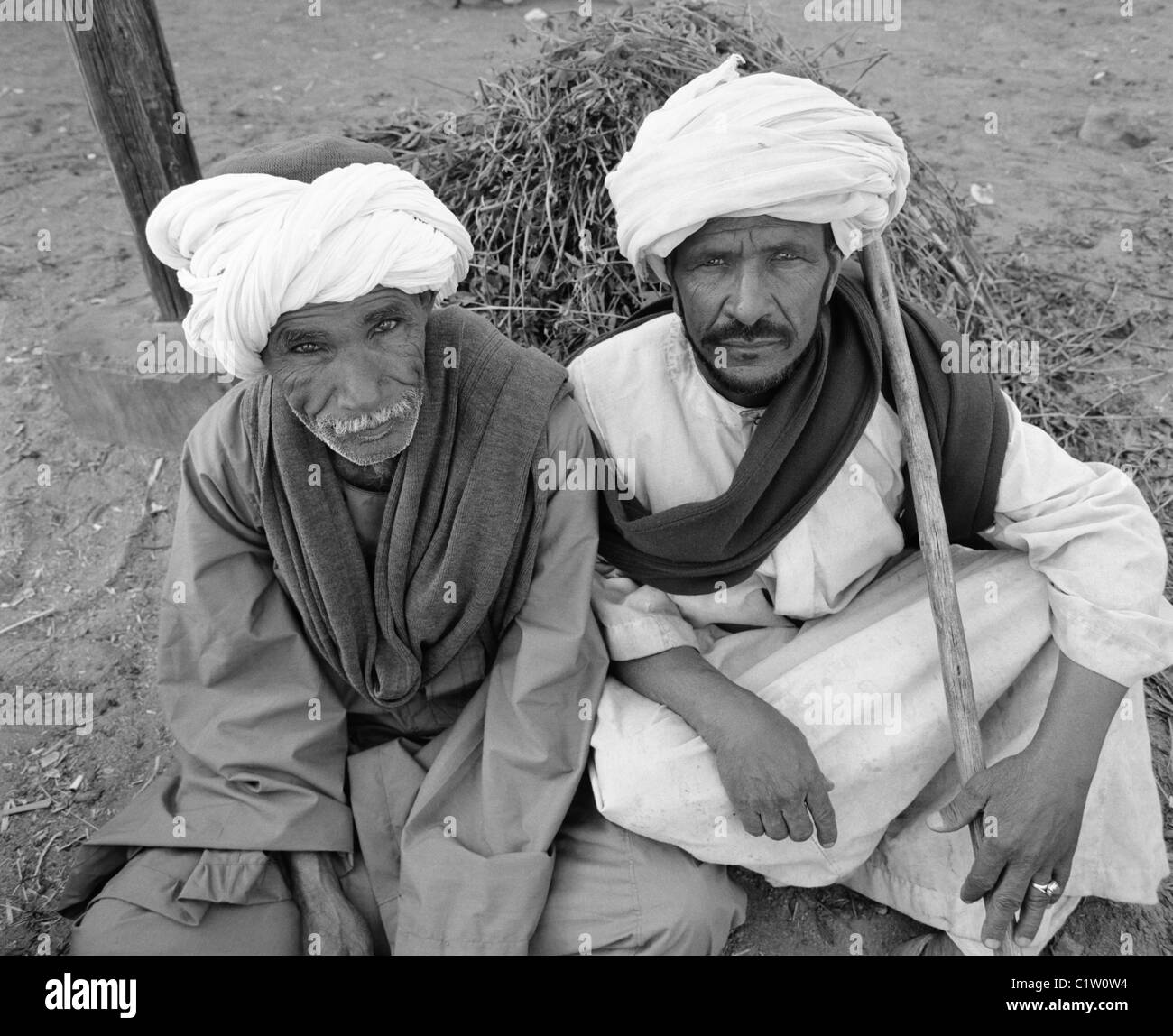 Mercato di cammelli, Daraw, Alto Egitto Foto Stock