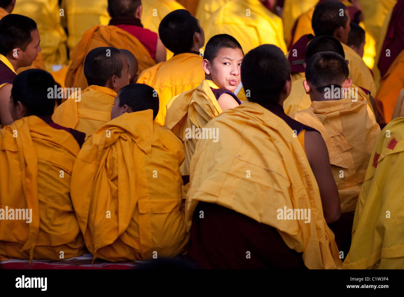 Non è facile concentrarsi per giovani monaci buddisti durante la meditazione. Foto Stock