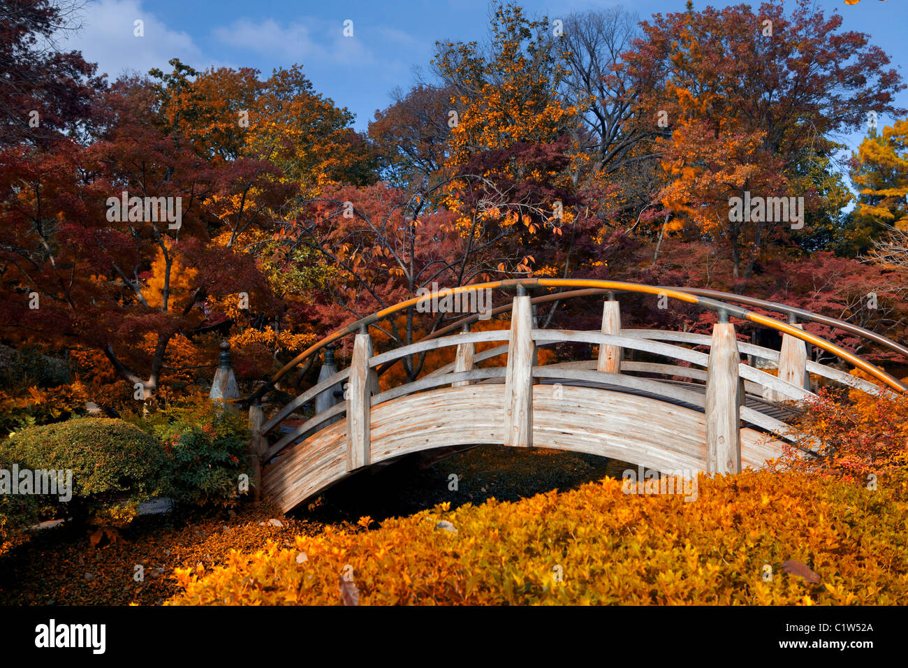 Il Footbridge in un giardino giapponese, Fort Worth, Texas, Stati Uniti d'America Foto Stock