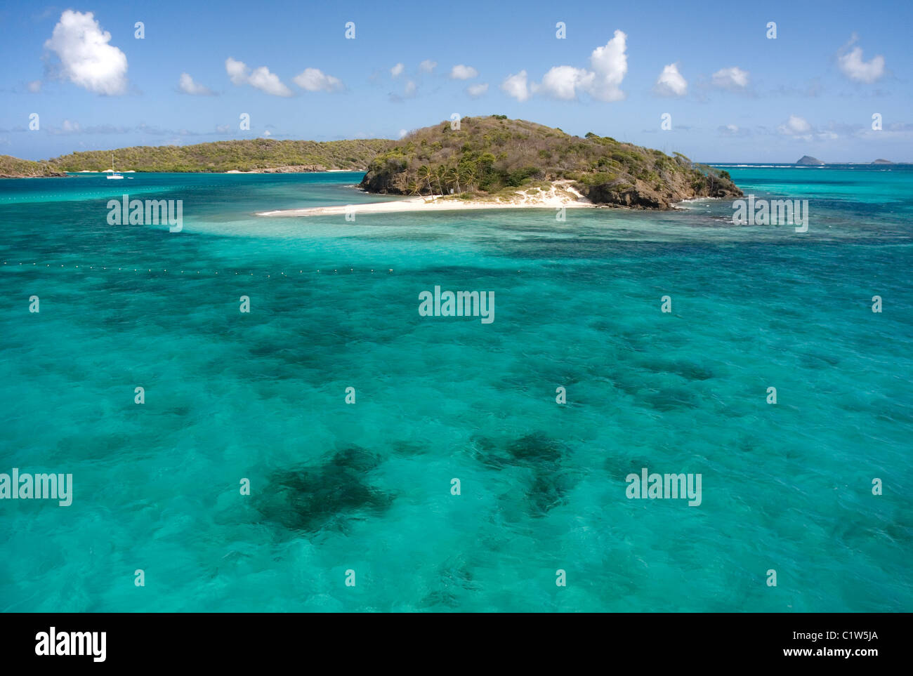 Baradel Isola, uno dei famosi Tobago Cays nell'Isola Windward la catena dei Caraibi vicino a Saint Vincent e Grenadine Foto Stock
