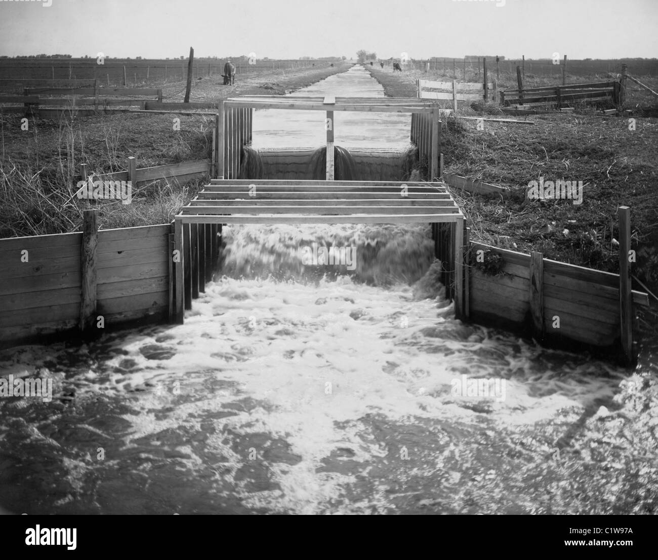 Scena di irrigazione, Fort Morgan, Colorado circa 1900 Foto Stock