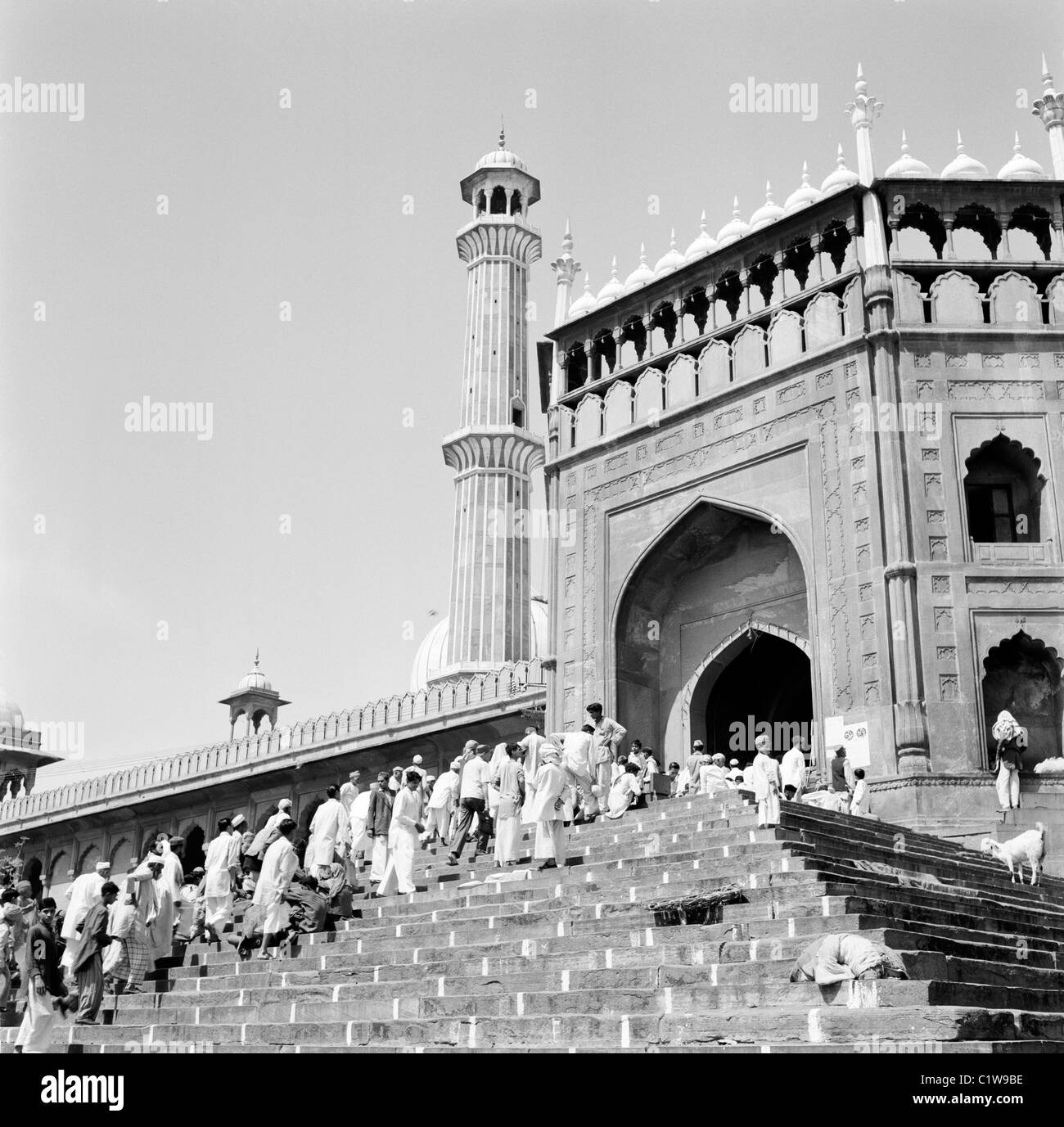 India, Delhi, Moschea Jama-Masjid Foto Stock