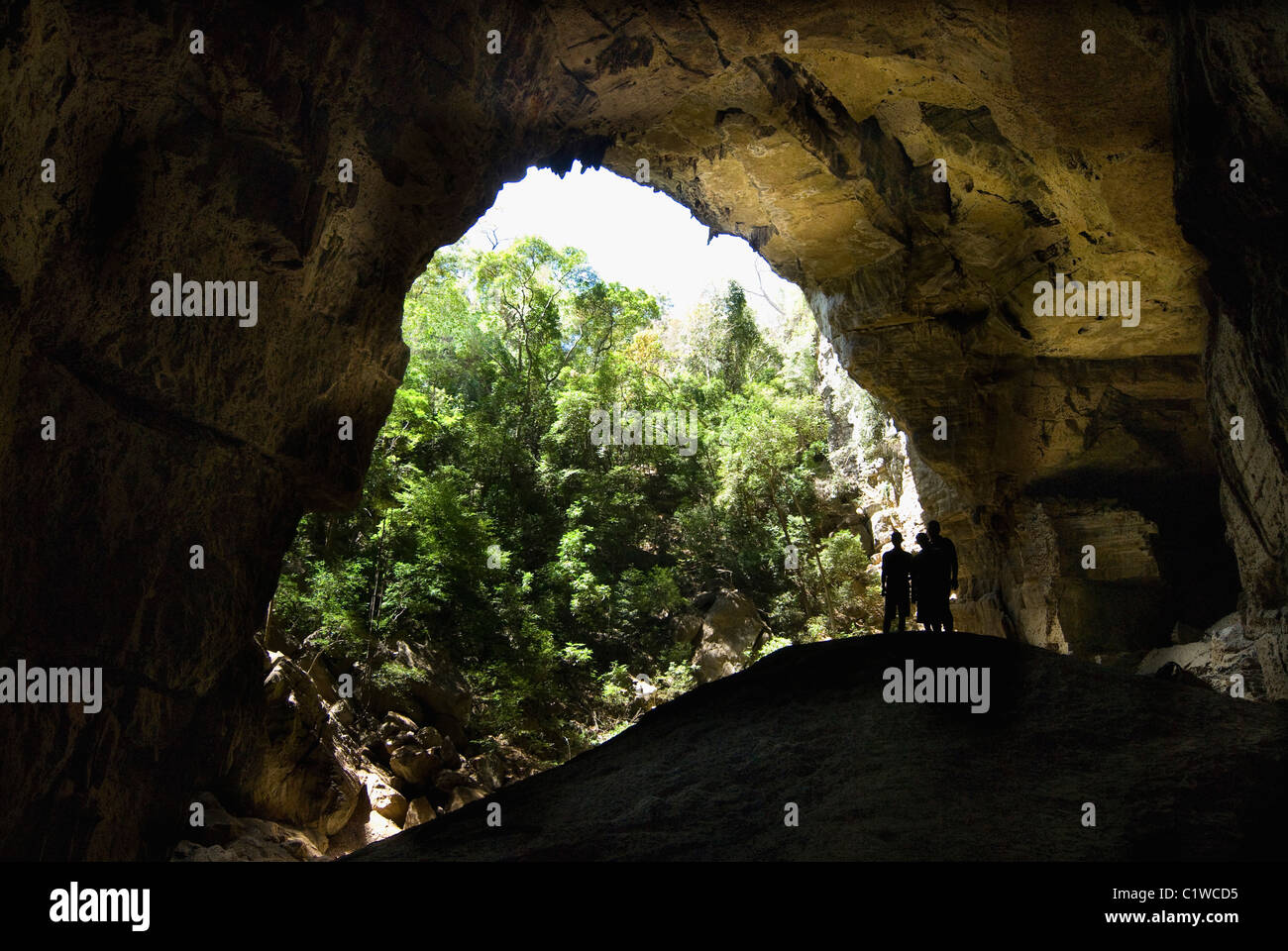 Madagascar, Ankarana National Park, uscita della grotta Foto Stock