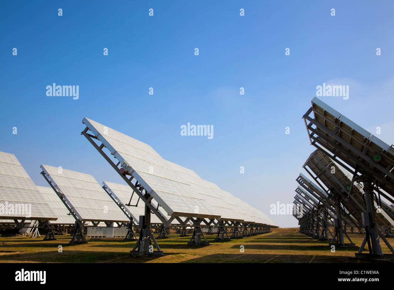 Un campo di pannelli solari fotovoltaici fornendo energia verde Foto Stock