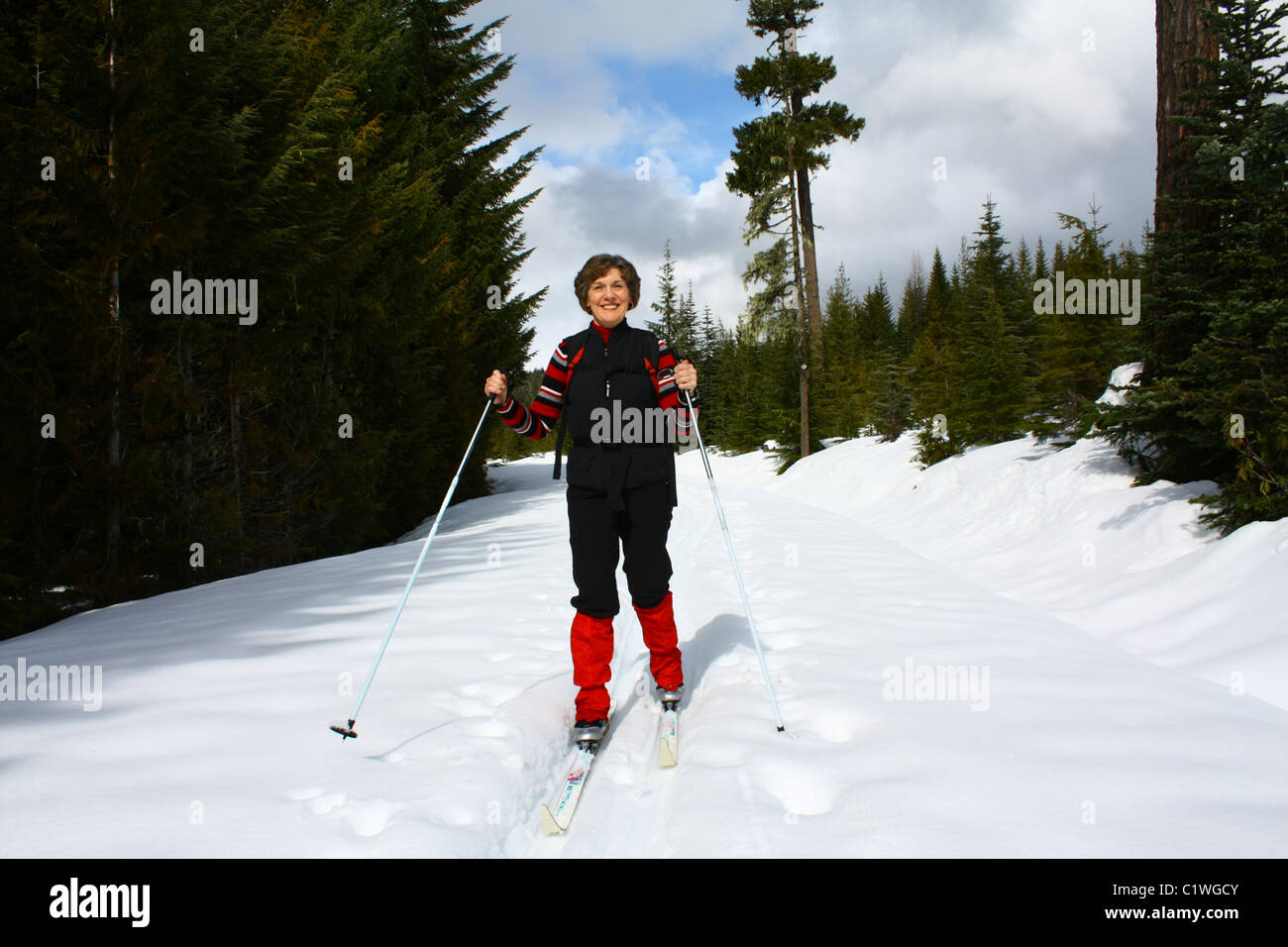 40,624.03352 Donna vestita di nero e rosso sci di fondo su un soleggiato coperti di neve della foresta di conifere backcountry strada/trail. Foto Stock