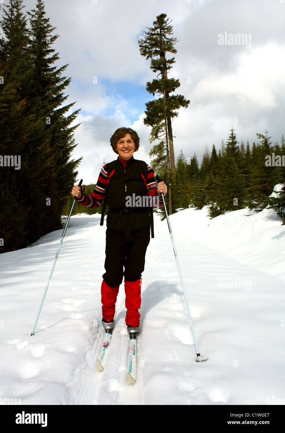 40,624.03353 Donna vestita di nero e rosso sci di fondo su un soleggiato coperti di neve della foresta di conifere backcountry strada/trail. Foto Stock