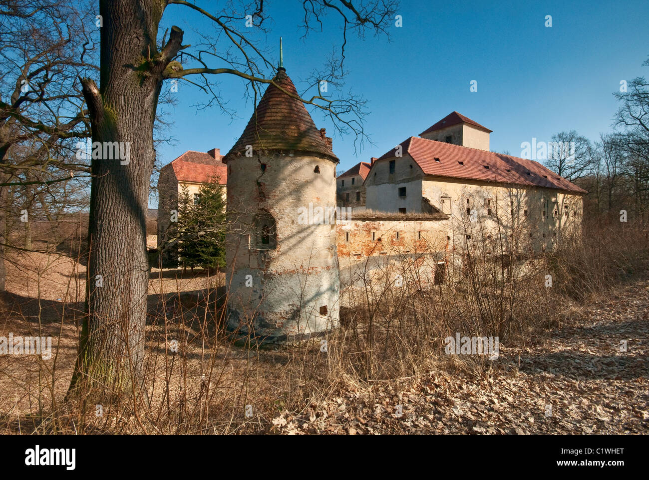 Castello medievale nel villaggio di Witostowice, Bassa Slesia, Polonia Foto Stock