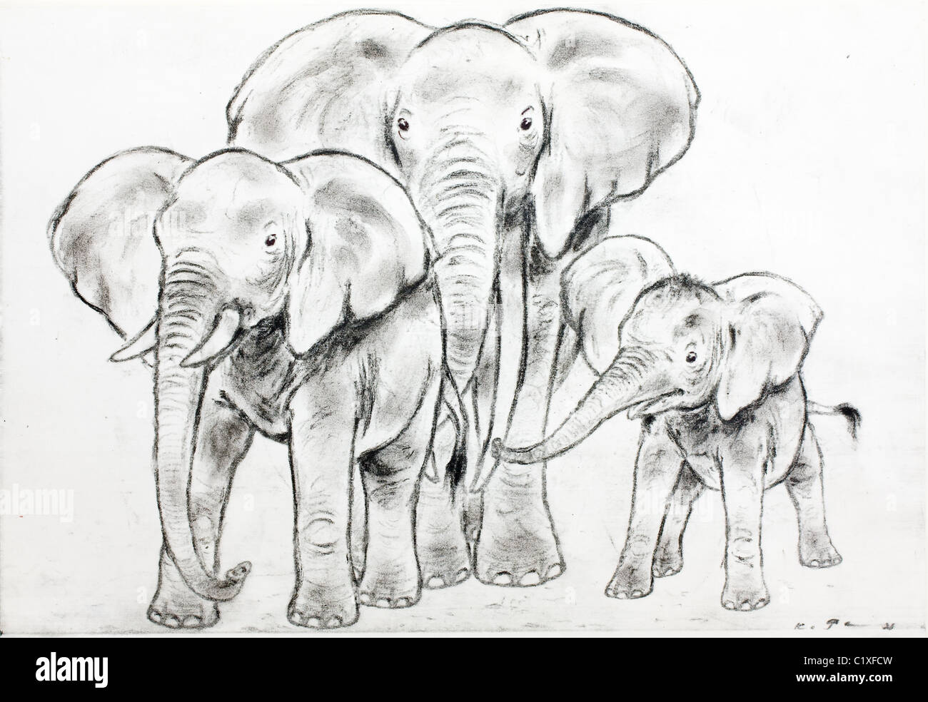 Famiglia di elefanti africani (Elephantidae Loxodonta africana) - carboncino su carta da Kurt Tessmann Foto Stock