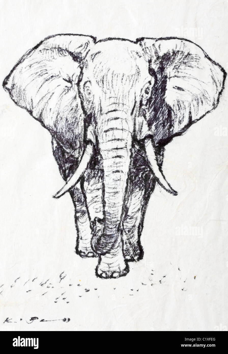 Elefante africano (Elephantidae Loxodonta africana) - carboncino su carta da Kurt Tessmann Foto Stock