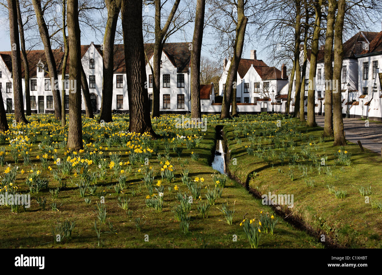 Case al beghinaggio di Bruges, Belgio Foto Stock