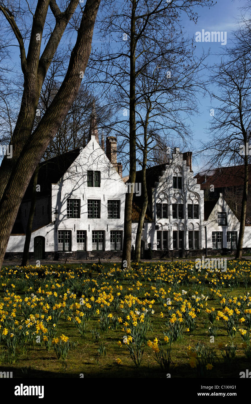 Case al beghinaggio di Bruges, Belgio Foto Stock