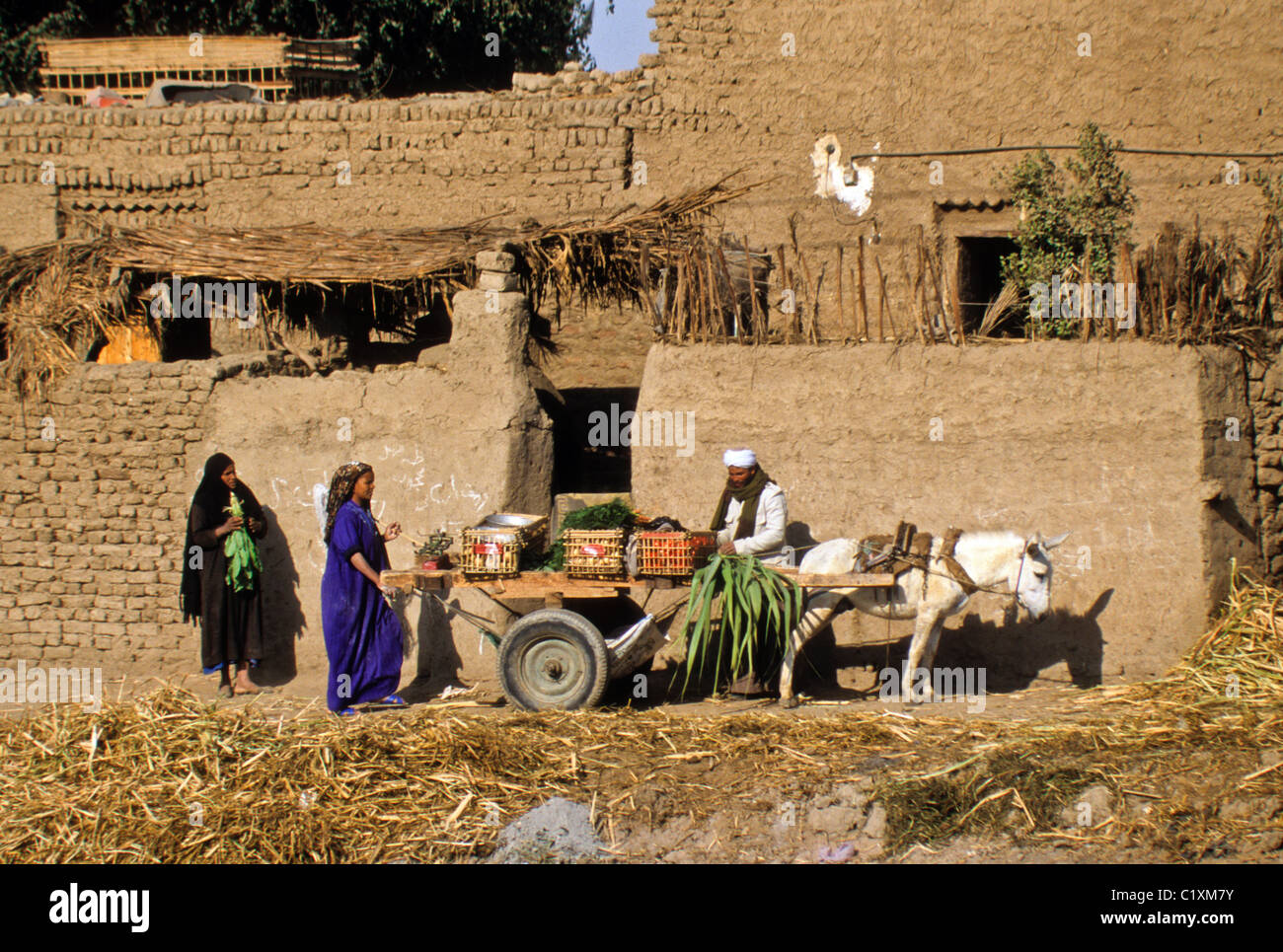 L'uomo vendita di produrre in un villaggio nei pressi di Luxor, Egitto Foto Stock