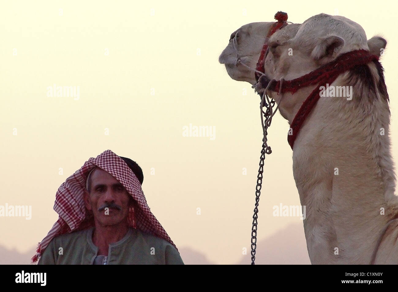 Autista di cammello nel deserto in Egitto Foto Stock