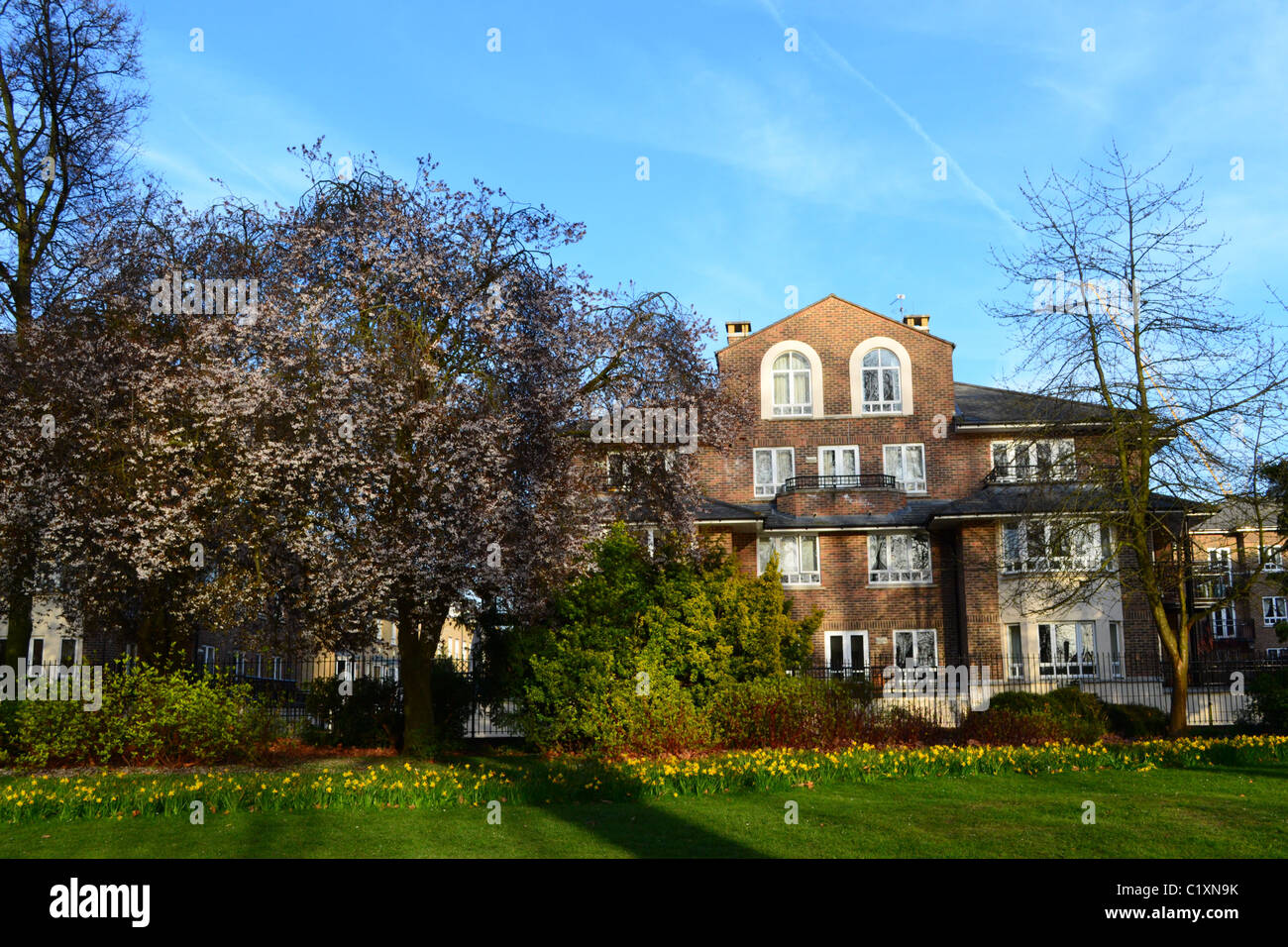 Case cerca su Canbury Park, Kingston, Surrey Foto Stock