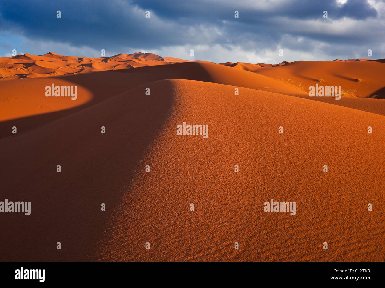 Erg Chebbi dune di sabbia sul bordo del deserto del Sahara in Marocco in Nord Africa all'alba all'inizio di marzo Foto Stock